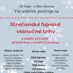 585854417 1384033386845039 8455114122334288662 n