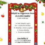 586488100 1653482506068517 5907601328005341867 n