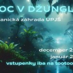 noc v dzungli 2025 A4 1