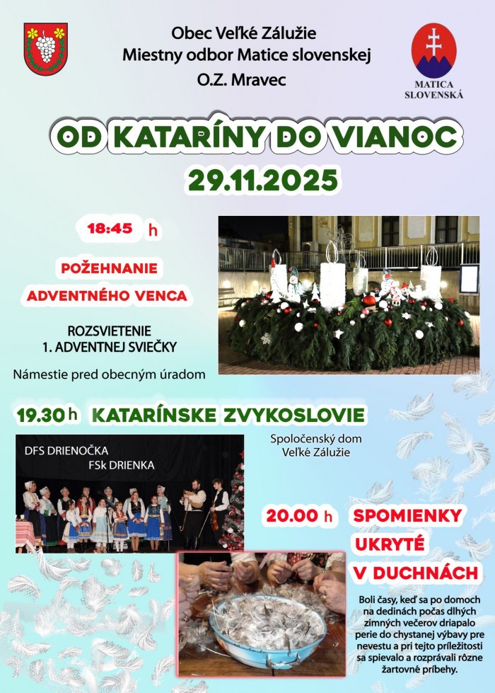 585361667 1128871869400208 8006356003917994143 n