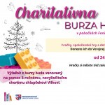 585091263 1251268453701369 5219206192593866875 n