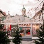 privetiva zona 2024 6