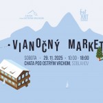 558857588 1127441856198485 8321862701827032730 n