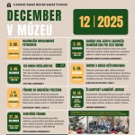 588638384 1369499968300205 7091632032926906335 n