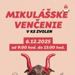 589405569 1426608766136577 2920612084736240166 n