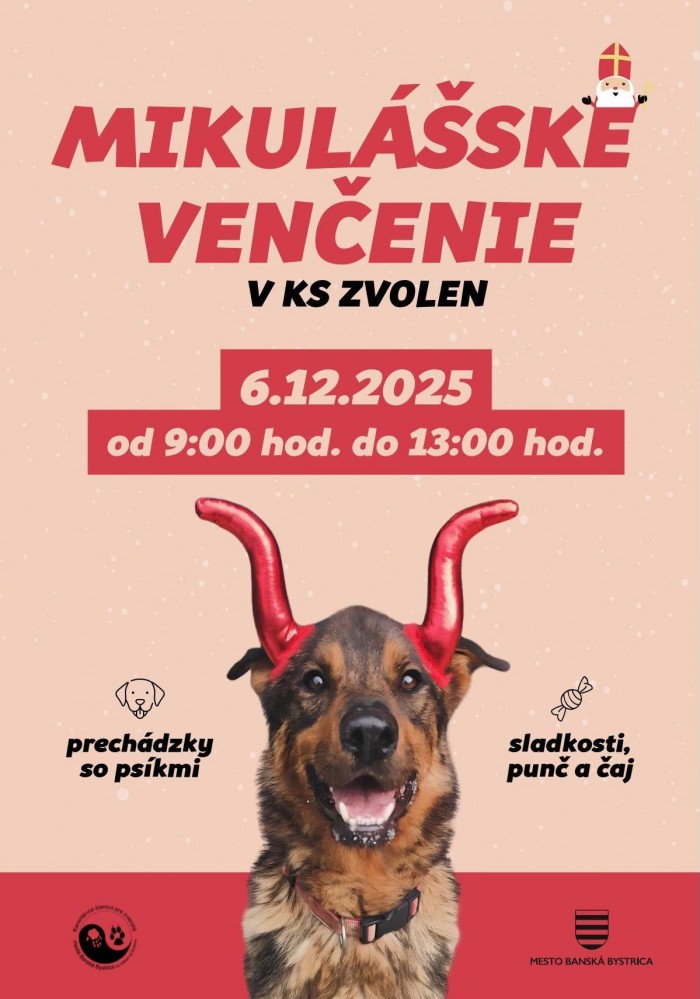 589405569 1426608766136577 2920612084736240166 n