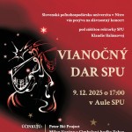 588390697 1249073123911048 477972408373143058 n