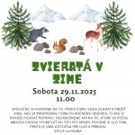 589391928 825619670257429 2768266414866550666 n