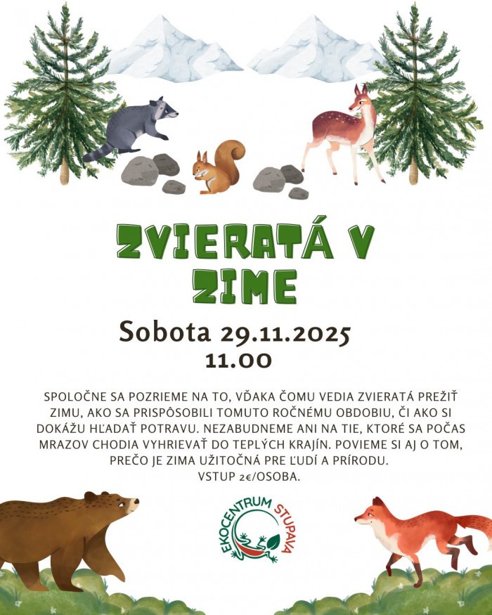 589391928 825619670257429 2768266414866550666 n