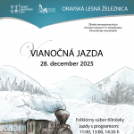 Vianocna jazda modra scaled