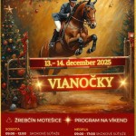 594178300 1437867235006589 5740867149617502804 n