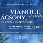 web banner 2025 vianoce