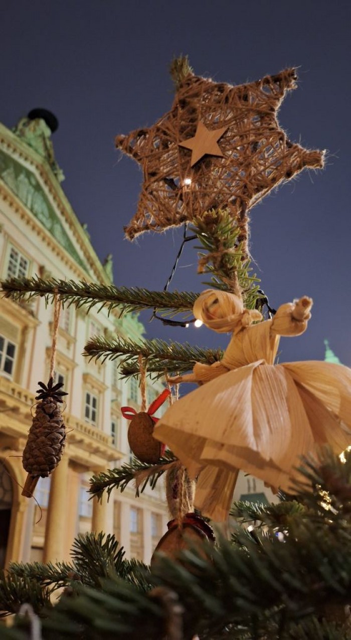 597859443 1357536639719569 6212200358676937424 n