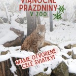 600521458 1448754850591221 731607338905176985 n