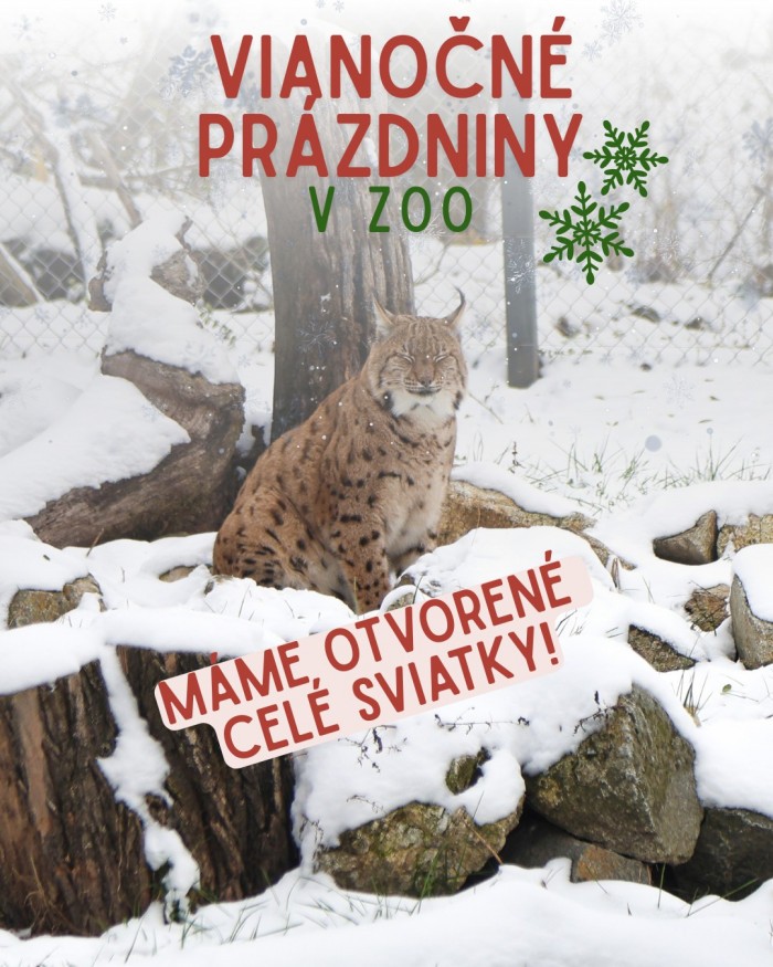 600521458 1448754850591221 731607338905176985 n