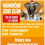 602290658 1250255793792711 5322423660810112466 n