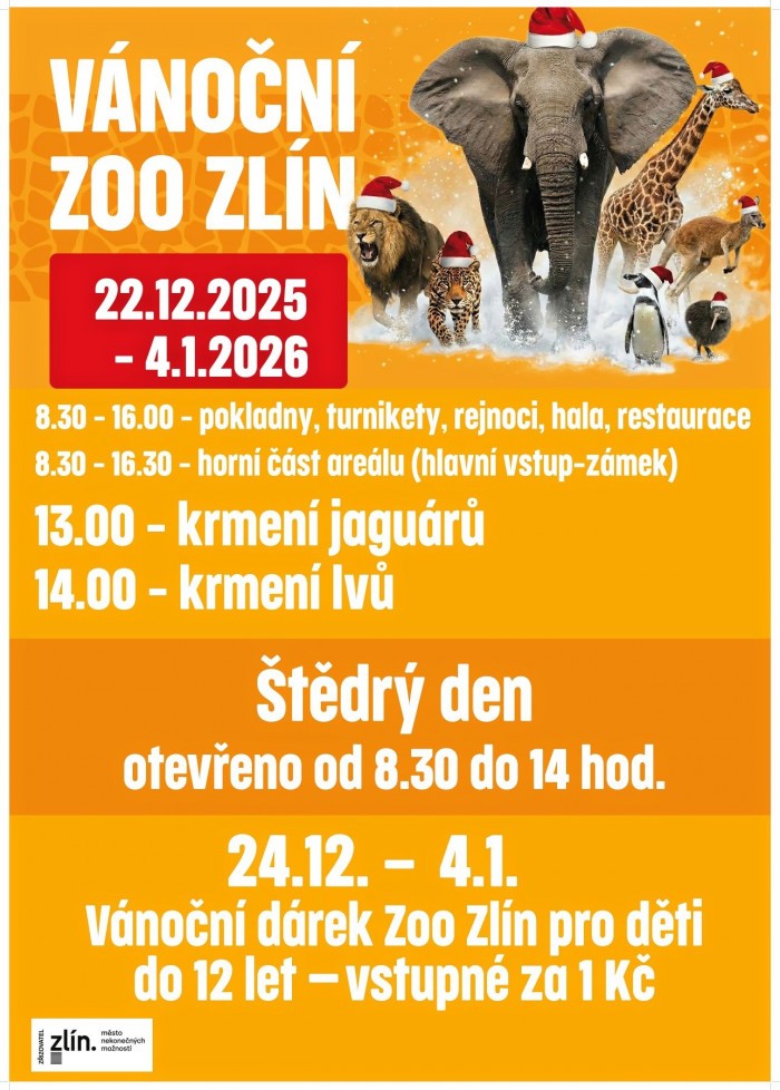 602290658 1250255793792711 5322423660810112466 n