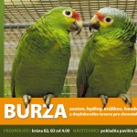 591755340 1167171192279721 1058502047814871749 n