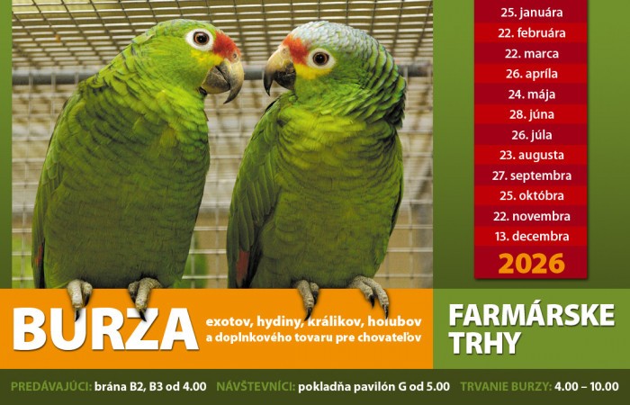 591755340 1167171192279721 1058502047814871749 n