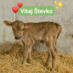 604539428 1450415210419508 8219028024988410622 n