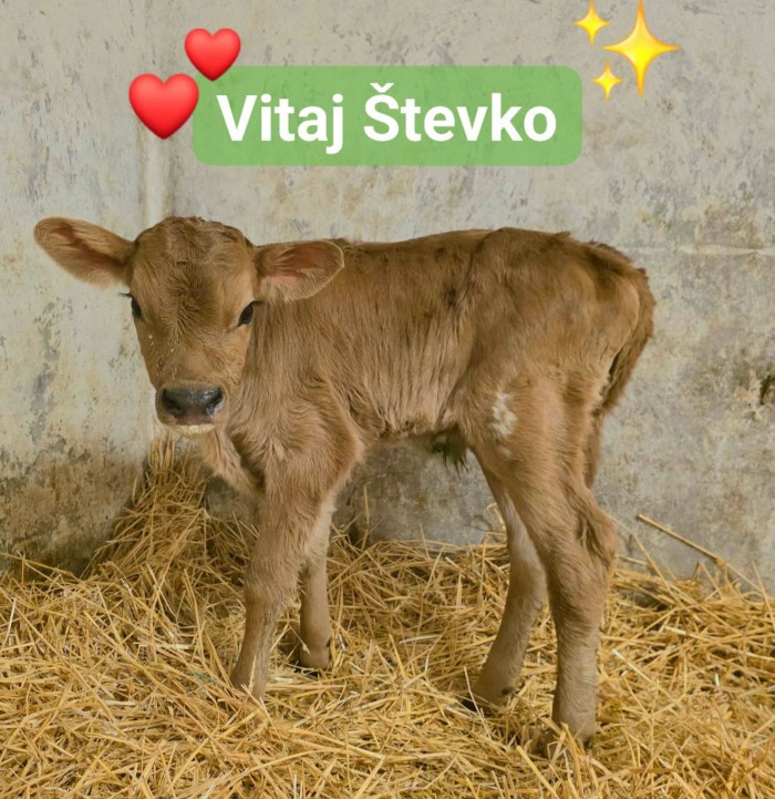 604539428 1450415210419508 8219028024988410622 n