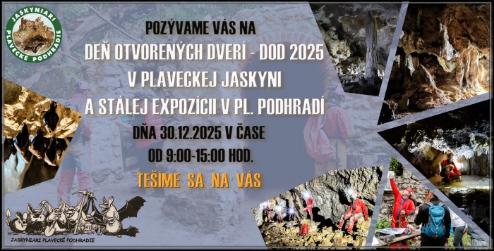 600385572 877500434964136 2672973560470353810 n