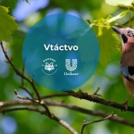 641442575 1370549031775739 1723316515995829962 n