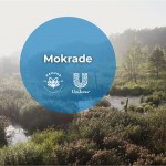 615814447 1334037158760260 1839339299355025401 n