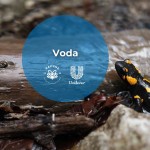 641080938 1370502801780362 3339128703235620994 n