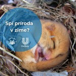 597824000 1308253568005286 2212394248950246192 n