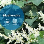 KAMZIK PRE VEREJNOST 2025 ecovisit 2 pdf 1024x577