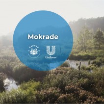 615814447 1334037158760260 1839339299355025401 n