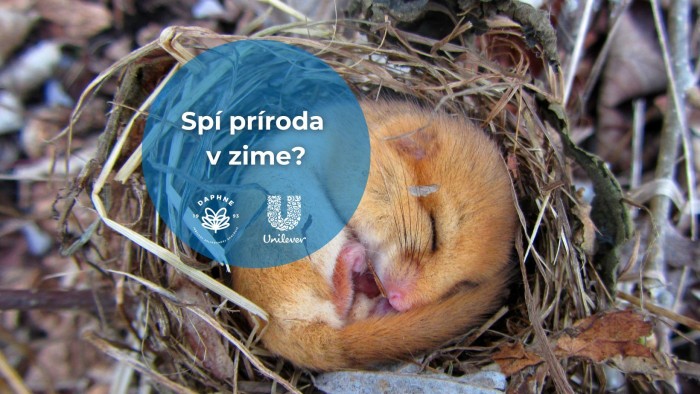 597824000 1308253568005286 2212394248950246192 n