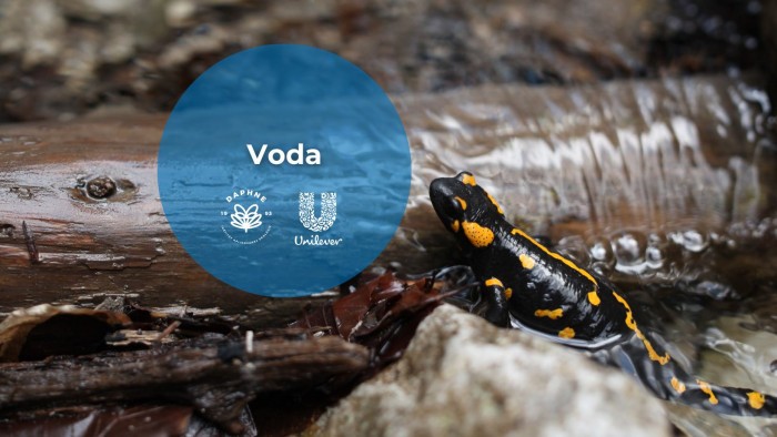 641080938 1370502801780362 3339128703235620994 n