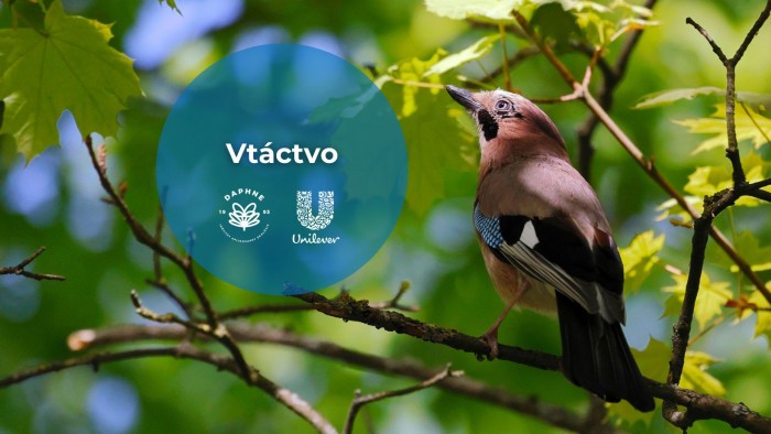 641442575 1370549031775739 1723316515995829962 n