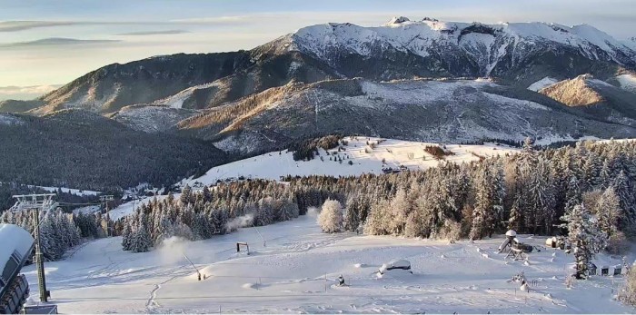 589630640 1306109754894094 1033512088138617367 n