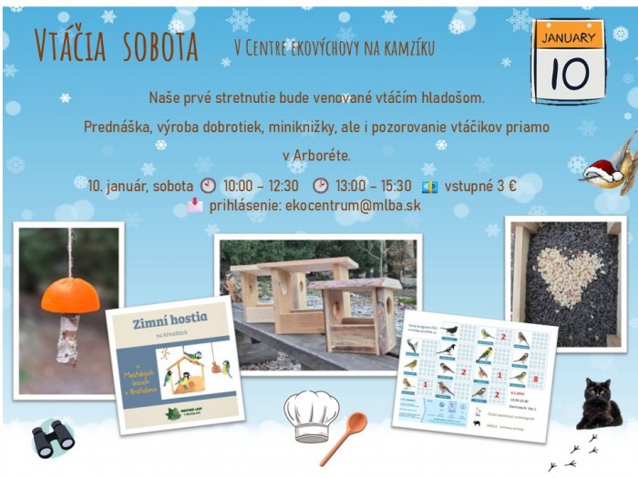 610715229 122242189694154823 2800246270892216113 n