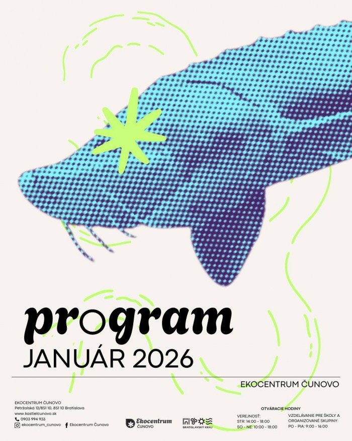 611175113 122155670792853026 6439614784297840580 n