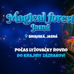 magical forest 1920x1080