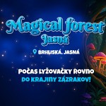 magical forest 1920x1080