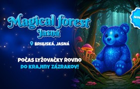 magical forest 1920x1080