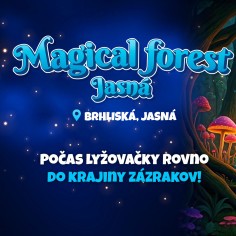 magical forest 1920x1080