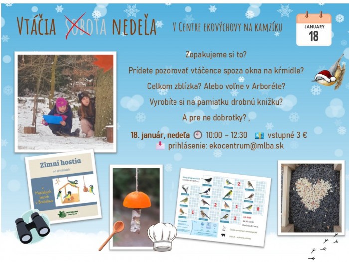 615421834 122243390882154823 8990898218989784182 n