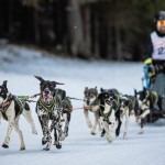 l 594058213 1443402131122220 1356677777977183896 n