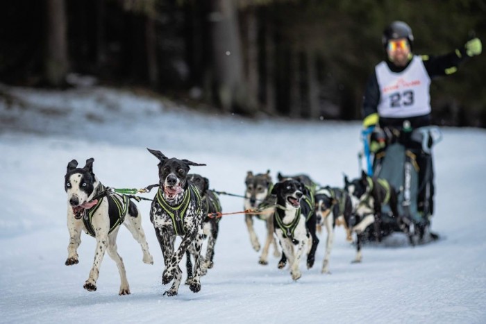 l 594058213 1443402131122220 1356677777977183896 n