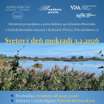 ezgif 4b236584ddb0f71c