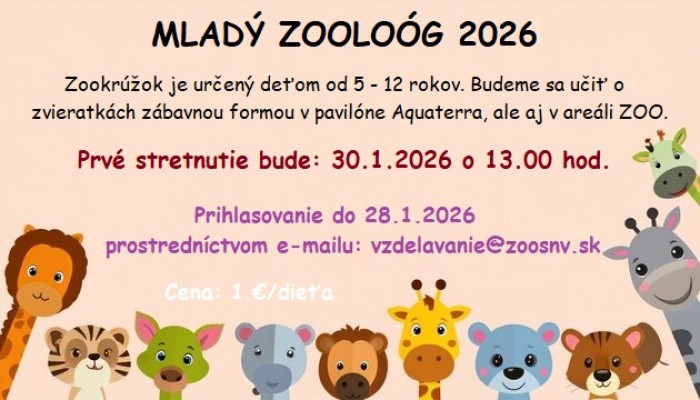 616372036 1393866089195319 8819017840962722641 n 1