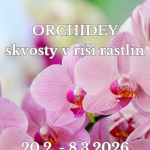 Orchidey 2026 A4