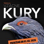 FB IMG 1770032661597