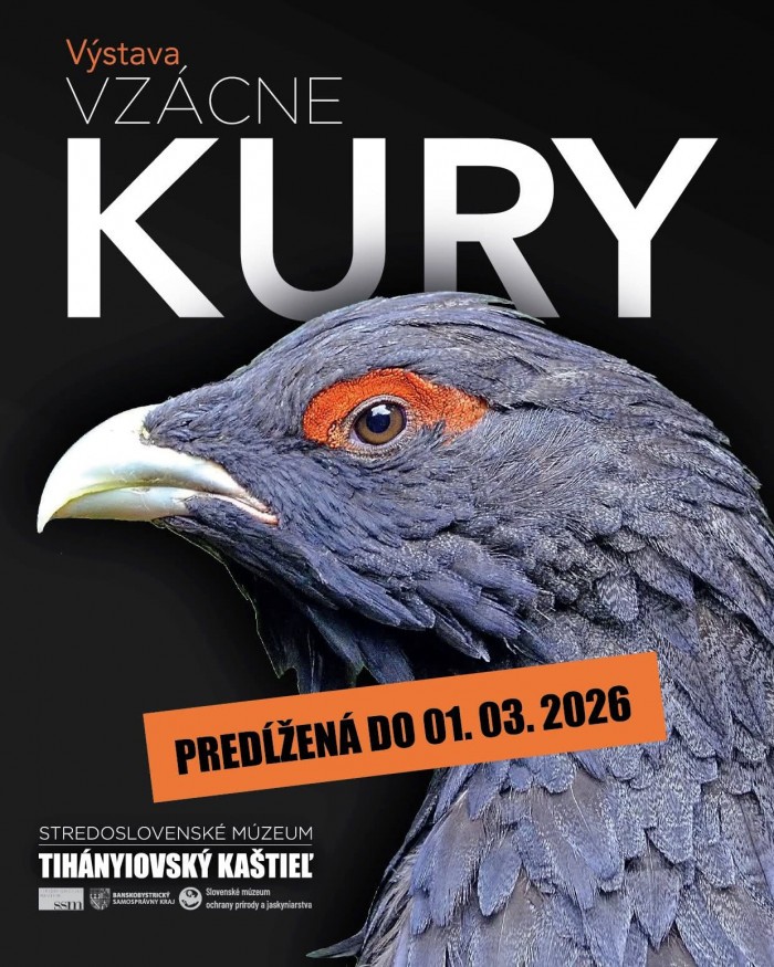 FB IMG 1770032661597